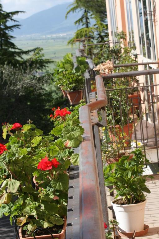 Hotel La Congiura Dei Baroni Teggiano Oda fotoğraf